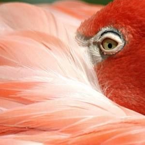 Meet your Posher, Debra